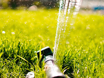 Commercial landscape irrigation by Taylor Made Growers in Naples, FL